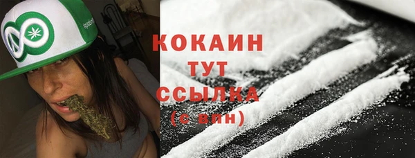 PSILOCYBIN Нязепетровск