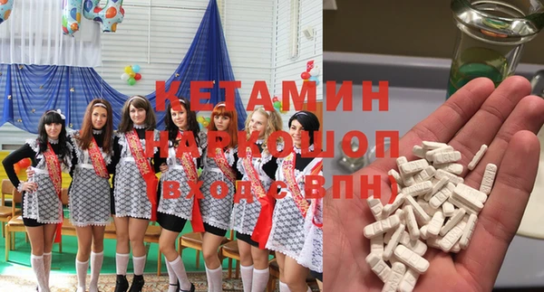 прущие грибы Няндома
