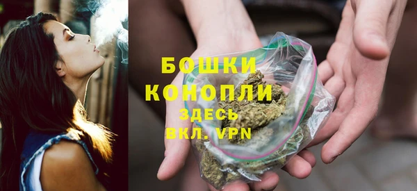 PSILOCYBIN Нязепетровск