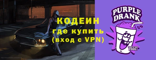 прущие грибы Няндома
