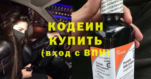 прущие грибы Няндома