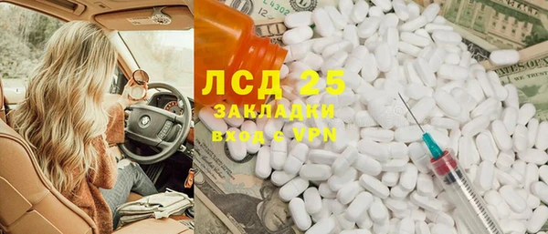 прущие грибы Няндома