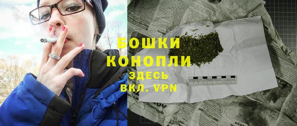 не бодяженный Новодвинск