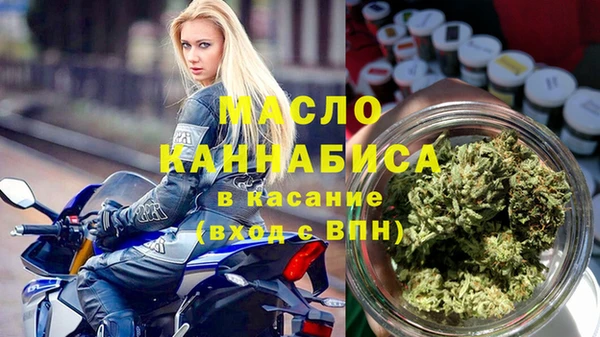 молекула духа Галич