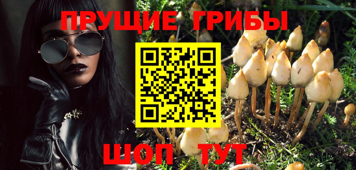 Псилоцибиновые грибы прущие грибы  где найти наркотики  Кизилюрт 
