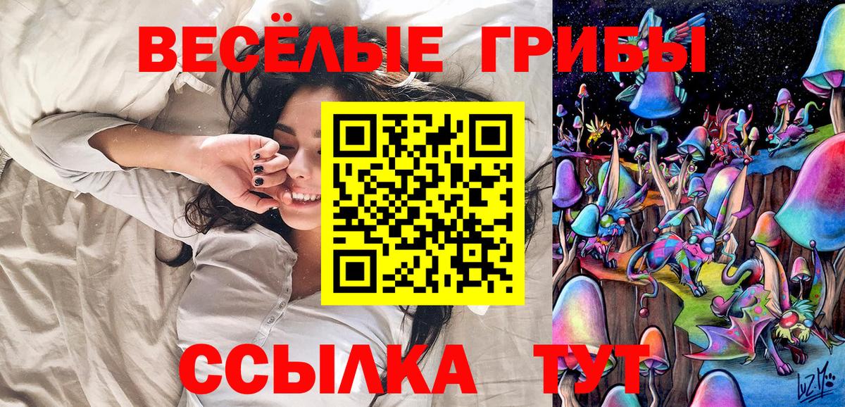 Кизилюрт  закладки  Вход с VPN  Псилоцибиновые грибы ЛСД 